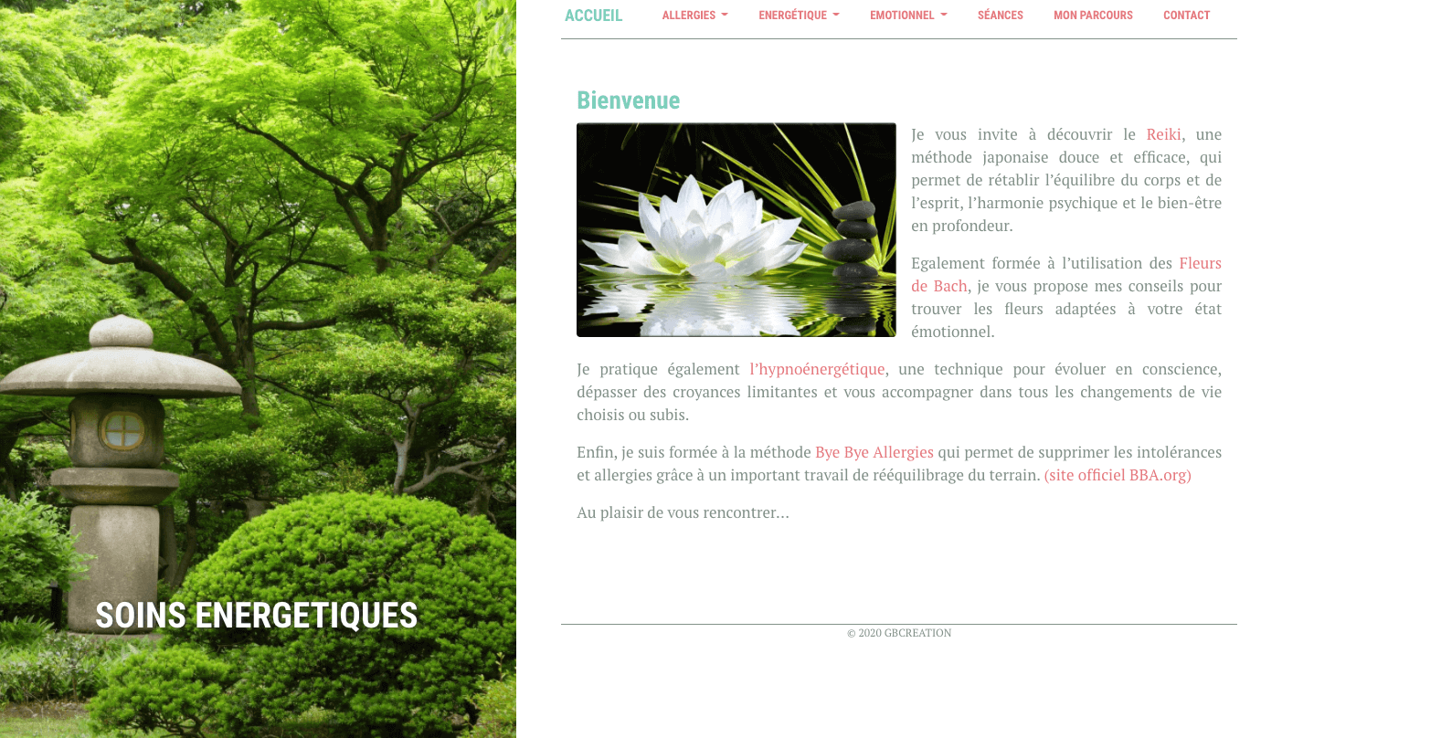 Image de l'experience Energeticienne